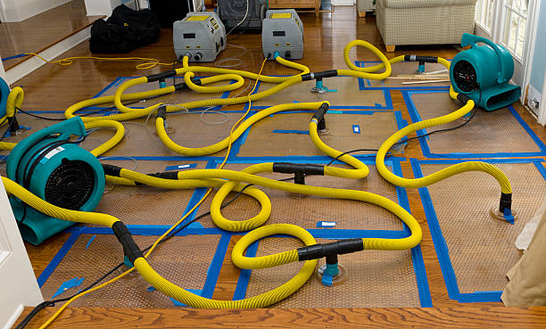 Professional Burst Pipe Water Damage technician working in Greenfield, IL